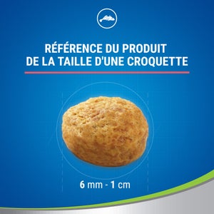 Friandise chat NESTLE PURINA DENTALIFE saumon 40g