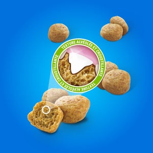 Friandise chat NESTLE PURINA DENTALIFE saumon 40g