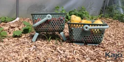 Panier kajo 4 litres vert olive / vert amande