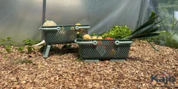 Panier kajo 15 litres vert olive/ vert amande