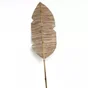Feuille de bananier banamoon h.160 cm