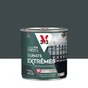Peinture extérieure fer Climats extrêmes V33 anthracite métallisé 0.5L