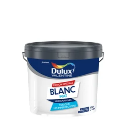 Peinture mur et plafond blanc mat DULUX VALENTINE 10 litres