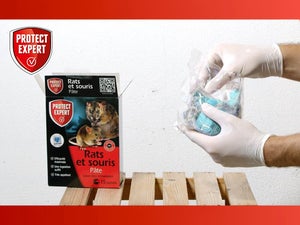 Pâte antirats et souris PROTECT EXPERT, 150g