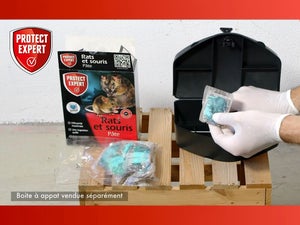 Pâte antirats et souris PROTECT EXPERT, 150g