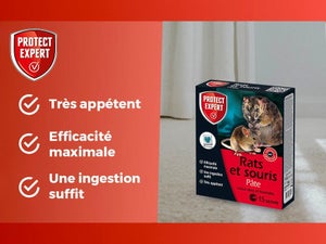 Pâte antirats et souris PROTECT EXPERT, 150g