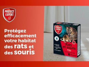 Pâte antirats et souris PROTECT EXPERT, 150g