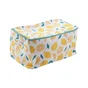 Valise deco 50x30x25cm limonade