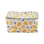 Valise deco 50x30x25cm limonade