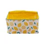 Valise deco 50x30x25cm limonade