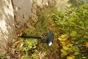 Balise solaire 10 lumens métal WATT&HOME