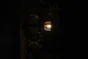 Balise solaire 10 lumens métal WATT&HOME