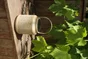 Lanterne solaire leone beige WATT&HOME