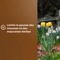 Copeaux de bois naturel OR BRUN  6L