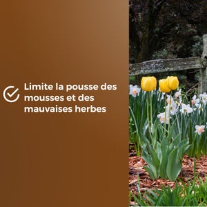 Copeaux de bois naturel OR BRUN 6L