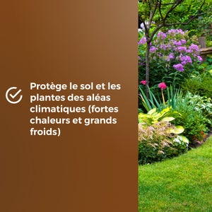Copeaux de bois naturel OR BRUN  6L