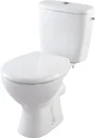 Pack WC à poser sortie horizontal, sans bride Nelia NF rimless, GODART