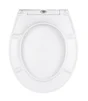 Abattant WC frein de chute noir décor végétal
