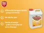 Anti algues lichens à verser PROTECT EXPERT 5L