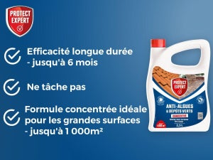 Anti-algue lichens concentré PROTECT EXPERT 2,5L
