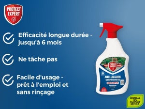 Spray anti algues lichens PROTECT 750ml