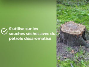 Destructeur de souches 400gr PROTECT EXPERT