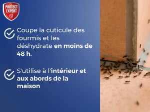 Poudre fourmis sans insecticide 200gr PROTECT EXPERT
