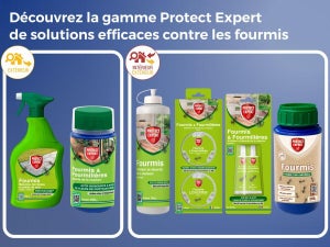 Poudre fourmis sans insecticide 200gr PROTECT EXPERT