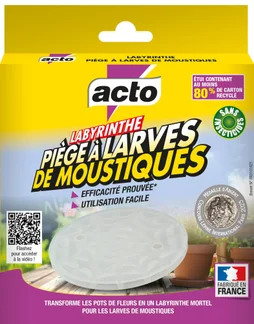 Labyrinthe pièce à larves de moustiques