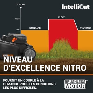 Tondeuse sur batterie WORX Wg737e.1 20 V, l.37 cm