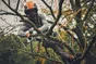 Scie à batterie STIHL GTA 40 20 V, guide de 15 cm