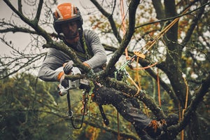 Scie à batterie STIHL GTA 40 20 V, guide de 15 cm