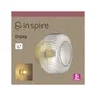 Applique dipsy e14 d18 laiton/verre transparent inspire