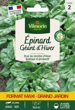 Epinard geant hiver gm vl 2