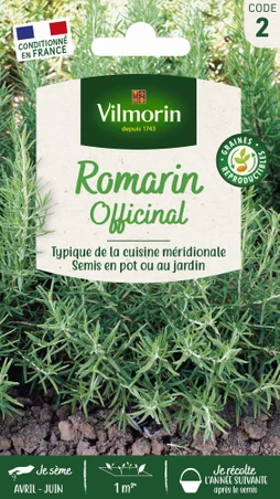 Romarin officinal vl 2