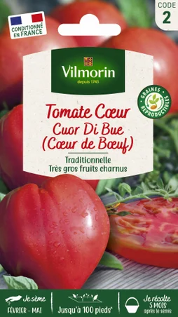 Tomate cuor di bue vl 2