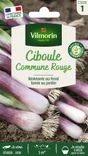 Ciboule commune rouge vl 1