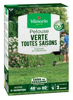 Pelouse économe en arrosage VILMORIN 4467314 40 m²