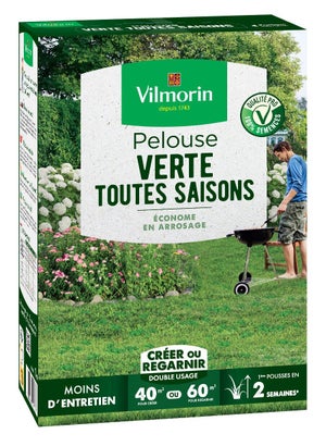 Pelouse économe en arrosage VILMORIN 4467314 40 m²