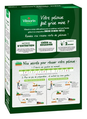 Pelouse économe en arrosage VILMORIN 4467314 40 m²