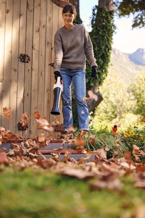 Souffleur sur batterie STIHL BGA30 avec 2 batteries