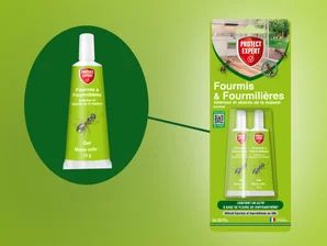 Insecticide fourmis, Ftubnat2n PROTECT EXPERT