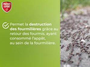 Insecticide fourmis, Ftubnat2n PROTECT EXPERT