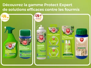 Insecticide fourmis, Ftubnat2n PROTECT EXPERT