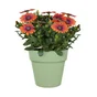 Pot de fleurs polypropylène NATERIAL Diam.25 L.24.5 x l.24.5 x H.21.5 cm vert