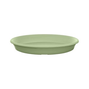 Soucoupe polypropylène NATERIAL Diam.32 L.31.62 x l.31.62 x H.4.15 cm vert