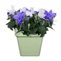 Pot de fleurs polypropylène NATERIAL Diam.30 L.29.5 x l.29.5 x H.28 cm vert
