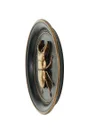 Objet décoratif, Lucune résine 20 cm