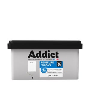 Peinture extérieure façade , ADDICT blanc 2.5l
