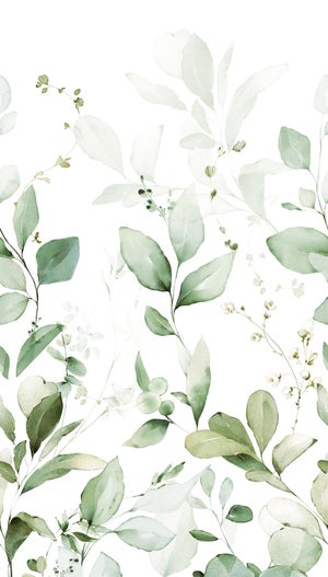 Papier peint pvc Feuilles quillan vert/blanc